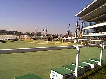 2000年12月東京競馬場ウィナーズサークル2.jpg
