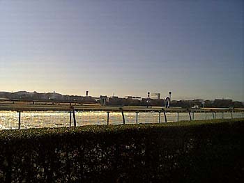 2000年12月東京競馬場ゴール板1.jpg