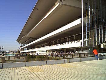 2000年12月東京競馬場メインスタンド東側から1.jpg