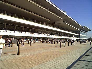 2000年12月東京競馬場メモリアル60西側から2.jpg