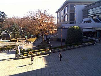 2000年12月東京競馬場正門前1.jpg