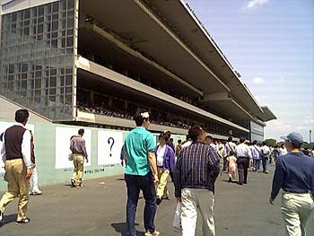 2001年5月東京競馬場1期工事仮囲4.jpg