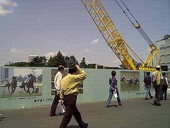 2001年5月2001年5月東京競馬場1期工事仮囲5.jpg