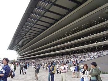 2007年4月東京競馬場新スタンド.jpg