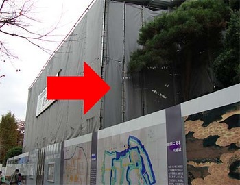 2009年11月28日第2回川越城本丸御殿保存修理工事見学会12.jpg