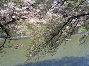 2009年4月10日千鳥ヶ淵公園3.jpg