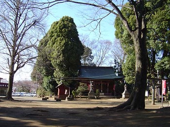 2009年4月三芳野神社.jpg