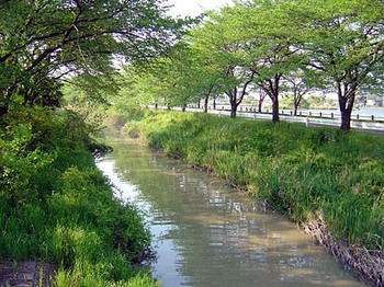 2009年4月伊佐沼代用水路.jpg