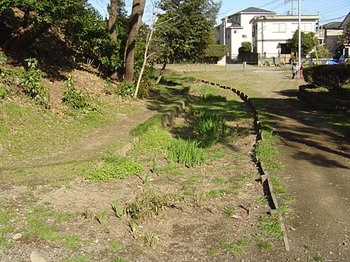 2009年4月富士見櫓跡下堀跡2.jpg