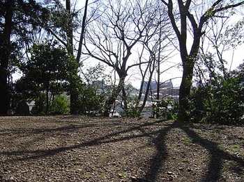 2009年4月富士見櫓跡頂上.jpg